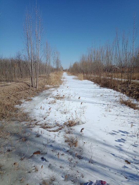 IMG20190216135318.jpg