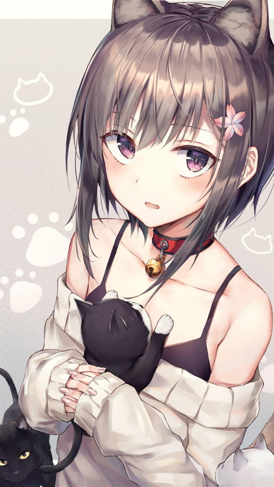8d40abccce02f4486e3f34c6b5ffbc5a.png