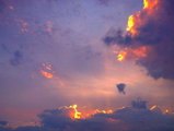InShot_20200319_131549628.jpg