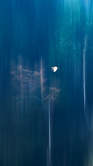 eaabf810ce907951c6b210d31ead0ed9.png