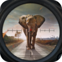 app_icon.png
