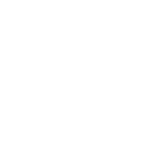 pns.png