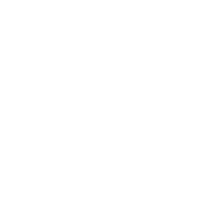 zf.png