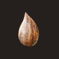 icon.png