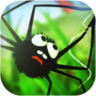 app_icon (21).png