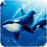 app_icon (4).png