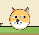 ic_launcher (1).png