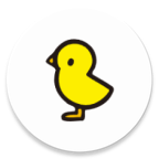 5Q.png