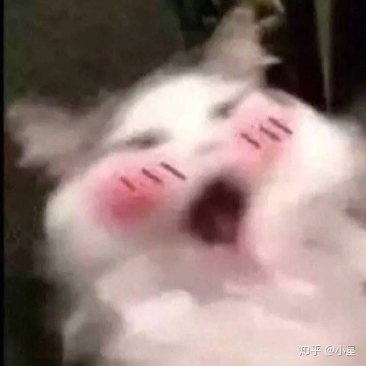 20221203_204726.jpg